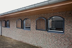 PROFESSIONAL WOOD ARCHED WINDOW 