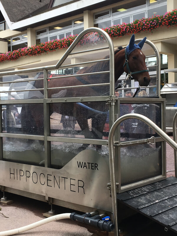 Andador de balneoterapia Aquatrainer, que permite a su caballo caminar como si estuviera en un arroyo
