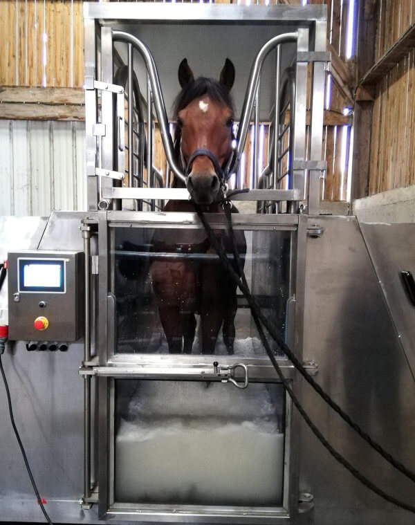 Tratamiento de Balneoterapia con HippoSpa, tratamiento con agua salada y a baja temperatura para la relajación y cuidado de la musculatura del caballo